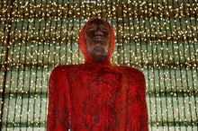 Lade das Bild in den Galerie-Viewer, Verhüllte Mystik in der Welt von Zoyt