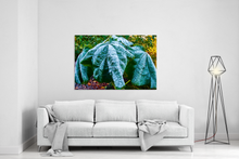 Lade das Bild in den Galerie-Viewer, Frost, Blätter mit Eiskristallen | Hamburg Foto "Frost, Blätter mit Eiskristallen" als Wandbild auf Leinwand kaufen