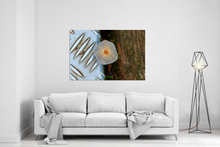 Lade das Bild in den Galerie-Viewer, der kleine Myzel | Hamburg Foto "der kleine Myzel" als Wandbild auf Leinwand kaufen