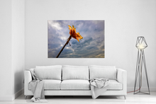 Lade das Bild in den Galerie-Viewer, die Kraft der Natur | Hamburg Foto "die Kraft der Natur" als Wandbild auf Leinwand kaufen