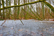 Lade das Bild in den Galerie-Viewer, Regenerationszeit | Hamburg Foto "Regenerationszeit" als Wandbild auf Leinwand kaufen